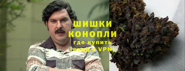 амф Бронницы