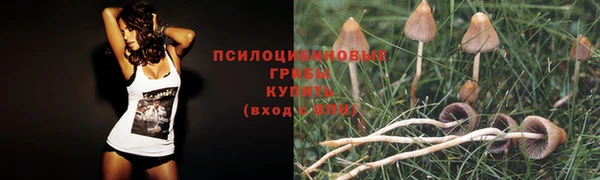 MESCALINE Богородск