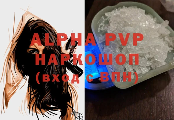 мдпв Богданович