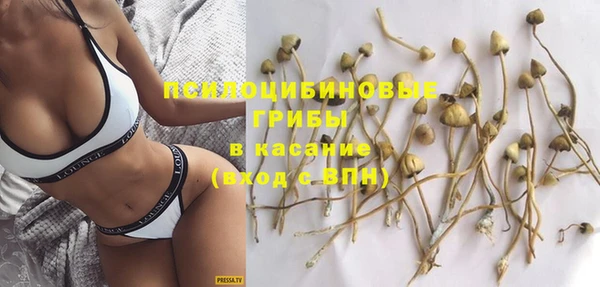 ешки Бугульма